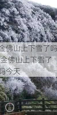 金佛山上下雪了吗,金佛山上下雪了吗今天