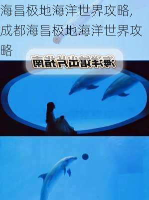 海昌极地海洋世界攻略,成都海昌极地海洋世界攻略