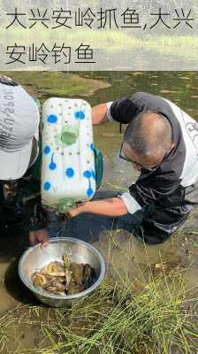 大兴安岭抓鱼,大兴安岭钓鱼