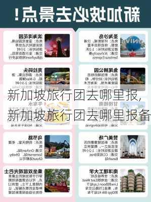 新加坡旅行团去哪里报,新加坡旅行团去哪里报备