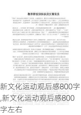 新文化运动观后感800字,新文化运动观后感800字左右