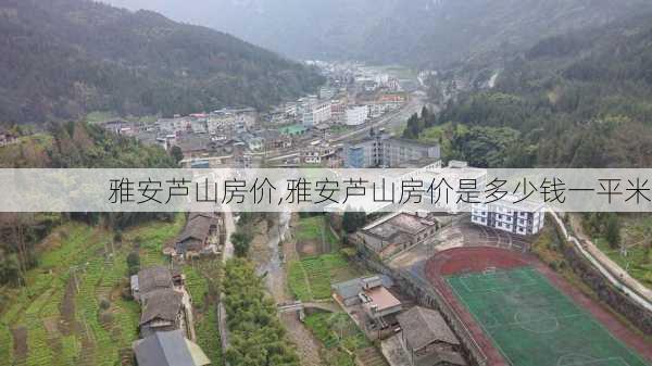 雅安芦山房价,雅安芦山房价是多少钱一平米