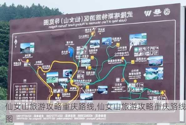 仙女山旅游攻略重庆路线,仙女山旅游攻略重庆路线图