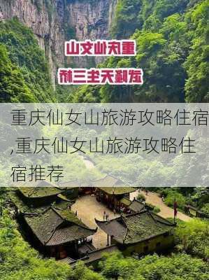 重庆仙女山旅游攻略住宿,重庆仙女山旅游攻略住宿推荐