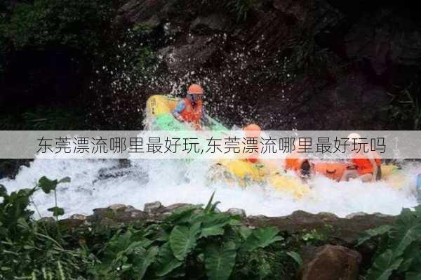 东莞漂流哪里最好玩,东莞漂流哪里最好玩吗