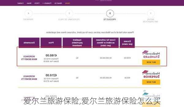 爱尔兰旅游保险,爱尔兰旅游保险怎么买