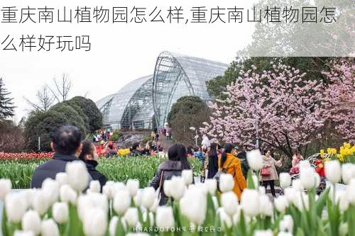 重庆南山植物园怎么样,重庆南山植物园怎么样好玩吗