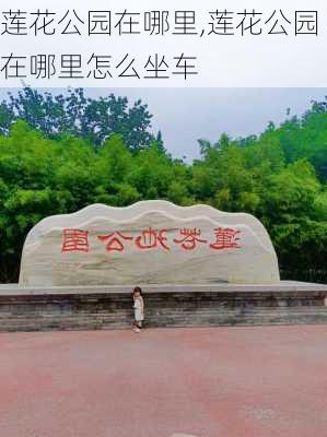 莲花公园在哪里,莲花公园在哪里怎么坐车