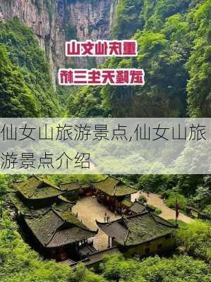 仙女山旅游景点,仙女山旅游景点介绍