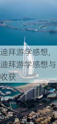 迪拜游学感想,迪拜游学感想与收获