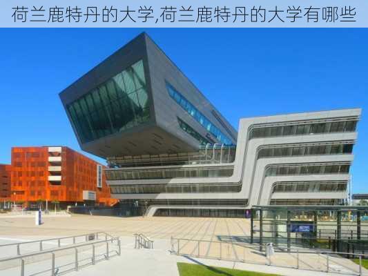 荷兰鹿特丹的大学,荷兰鹿特丹的大学有哪些