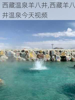 西藏温泉羊八井,西藏羊八井温泉今天视频