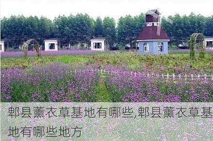 郫县薰衣草基地有哪些,郫县薰衣草基地有哪些地方