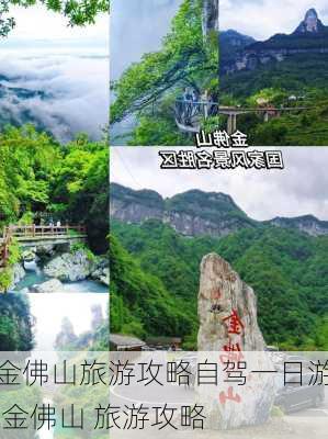 金佛山旅游攻略自驾一日游,金佛山 旅游攻略