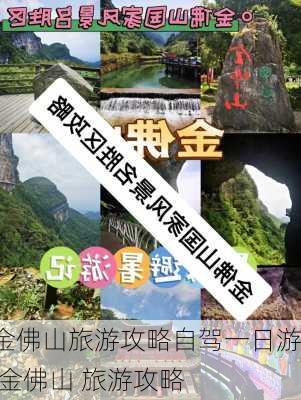 金佛山旅游攻略自驾一日游,金佛山 旅游攻略