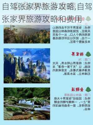 自驾张家界旅游攻略,自驾张家界旅游攻略和费用