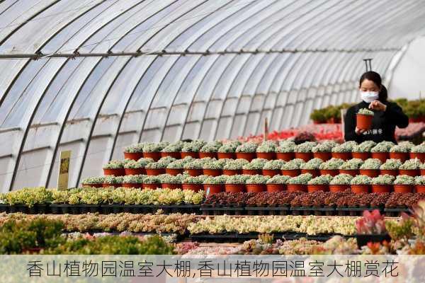 香山植物园温室大棚,香山植物园温室大棚赏花