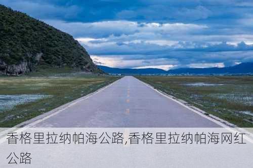 香格里拉纳帕海公路,香格里拉纳帕海网红公路