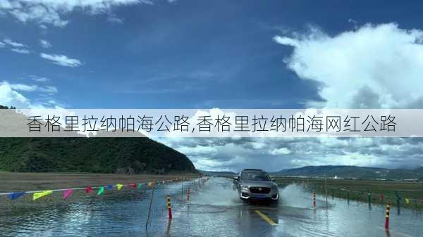 香格里拉纳帕海公路,香格里拉纳帕海网红公路