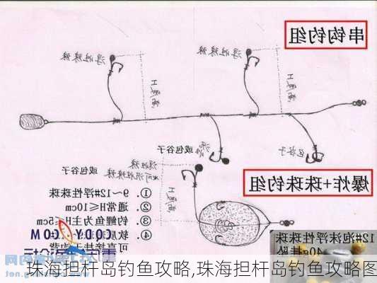 珠海担杆岛钓鱼攻略,珠海担杆岛钓鱼攻略图