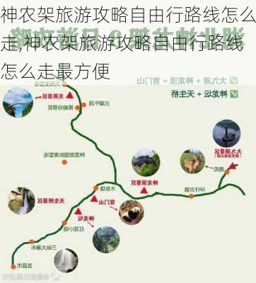 神农架旅游攻略自由行路线怎么走,神农架旅游攻略自由行路线怎么走最方便