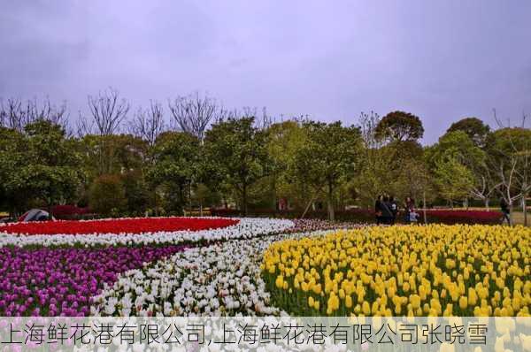 上海鲜花港有限公司,上海鲜花港有限公司张晓雪