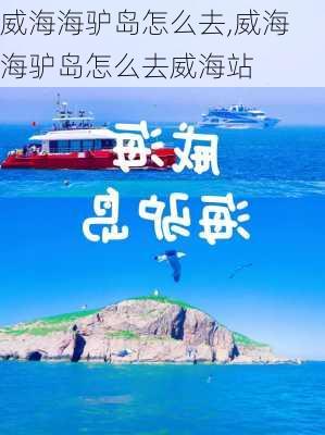 威海海驴岛怎么去,威海海驴岛怎么去威海站