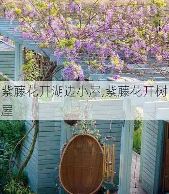 紫藤花开湖边小屋,紫藤花开树屋