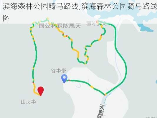 滨海森林公园骑马路线,滨海森林公园骑马路线图