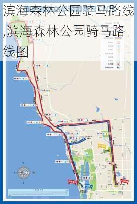 滨海森林公园骑马路线,滨海森林公园骑马路线图