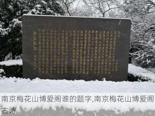 南京梅花山博爱阁谁的题字,南京梅花山博爱阁古诗