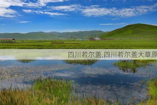 四川若尔盖,四川若尔盖大草原