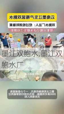 墨江双胞水,墨江双胞水厂