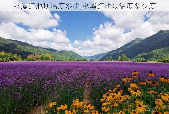 巫溪红池坝温度多少,巫溪红池坝温度多少度