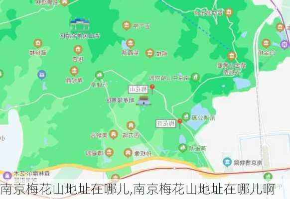 南京梅花山地址在哪儿,南京梅花山地址在哪儿啊