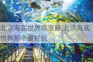 北京海底世界哪里好,北京海底世界那个最好玩