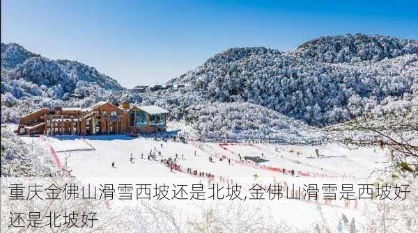 重庆金佛山滑雪西坡还是北坡,金佛山滑雪是西坡好还是北坡好