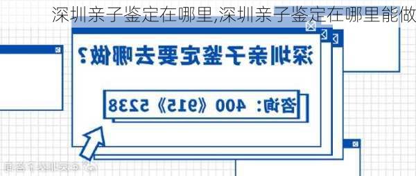 深圳亲子鉴定在哪里,深圳亲子鉴定在哪里能做