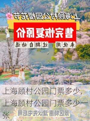 上海顾村公园门票多少,上海顾村公园门票多少一张