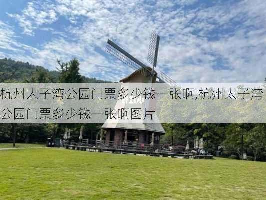 杭州太子湾公园门票多少钱一张啊,杭州太子湾公园门票多少钱一张啊图片