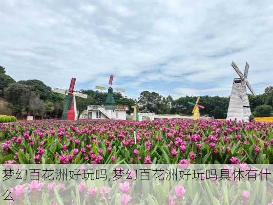 梦幻百花洲好玩吗,梦幻百花洲好玩吗具体有什么