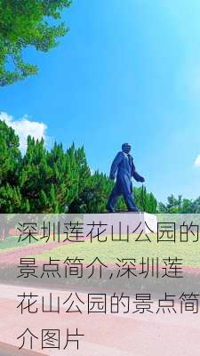 深圳莲花山公园的景点简介,深圳莲花山公园的景点简介图片