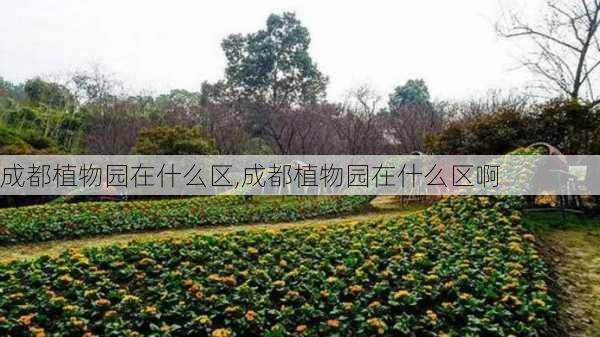 成都植物园在什么区,成都植物园在什么区啊