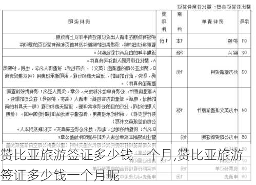 赞比亚旅游签证多少钱一个月,赞比亚旅游签证多少钱一个月呢