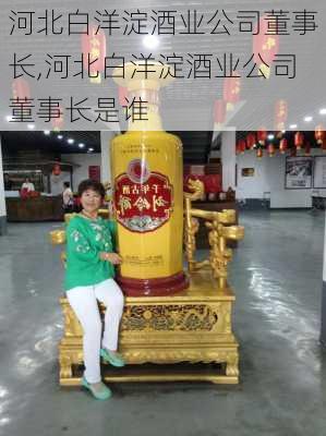 河北白洋淀酒业公司董事长,河北白洋淀酒业公司董事长是谁