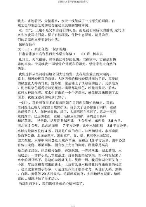 合肥湿地森林公园,合肥湿地森林公园作文