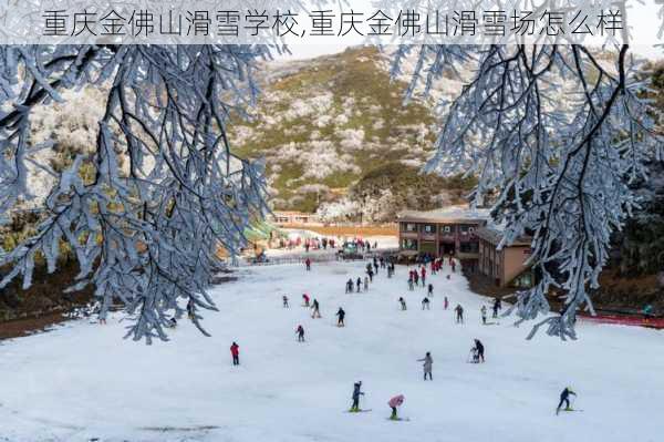 重庆金佛山滑雪学校,重庆金佛山滑雪场怎么样