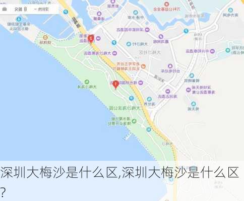 深圳大梅沙是什么区,深圳大梅沙是什么区?