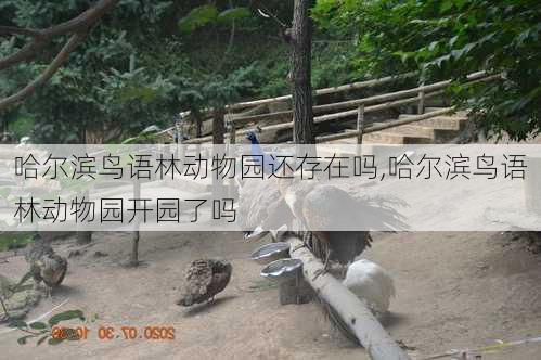 哈尔滨鸟语林动物园还存在吗,哈尔滨鸟语林动物园开园了吗