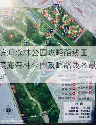 滨海森林公园攻略路线图,滨海森林公园攻略路线图最新